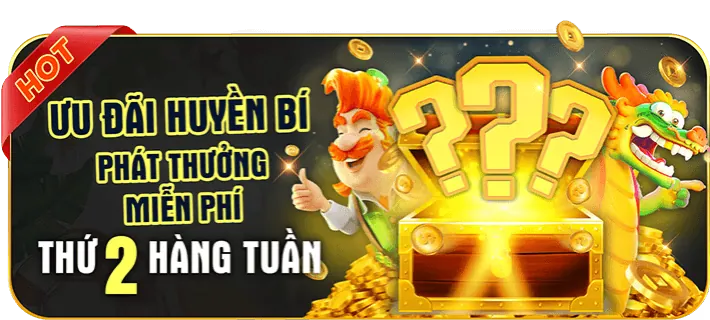 Tầm quan trọng của link Wim23 mới